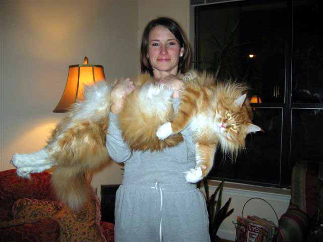 Consider, Biggest funnel in pussy Consider, what Biggest funnel in pussy